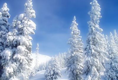 ​公司励志名人名言