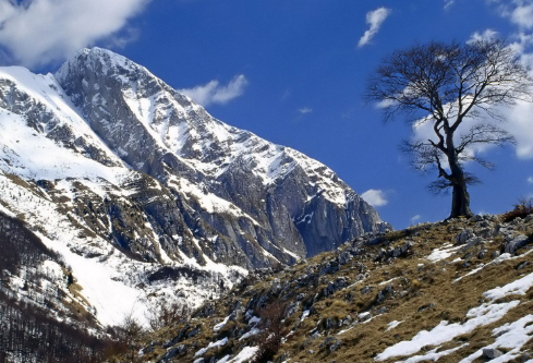 1688729285170790.png image.png