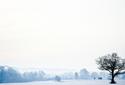 ​关于春天的名人名言