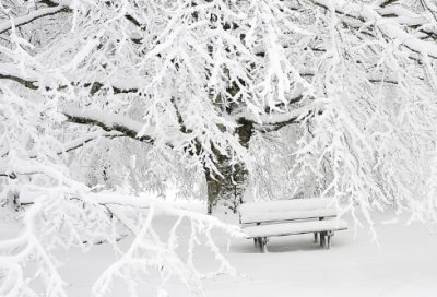 ​关于学习的格言警句