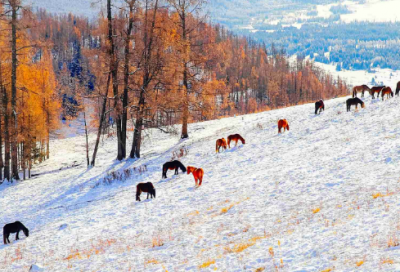 ​关于刻苦学习的名言