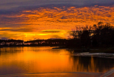 ​关于热爱读书的名言