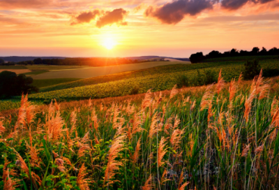 ​课题结题报告范文