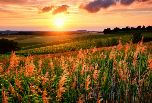 1689095299280948.png image.png