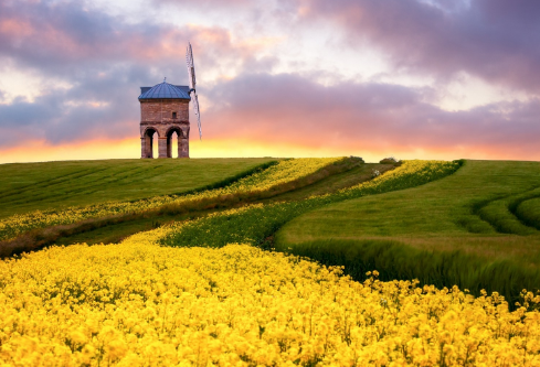 1689095964382918.png image.png