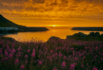 ​平面设计实习报告