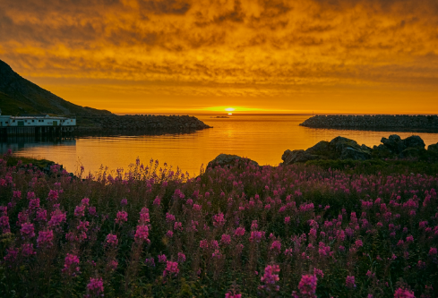 1689096297815116.png image.png