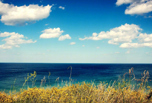 1689096629230598.png image.png