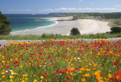 ​毕业实习报告