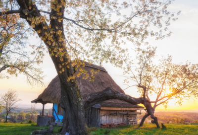 ​反腐倡廉自查报告