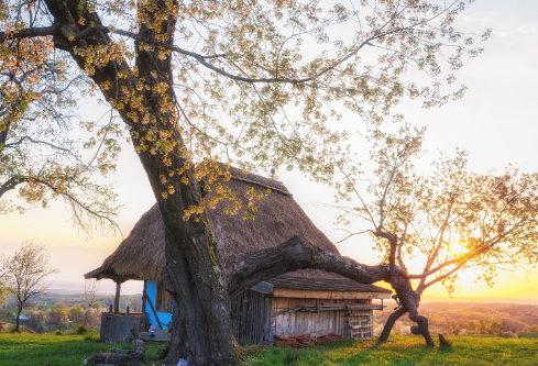 1689097293639842.png image.png