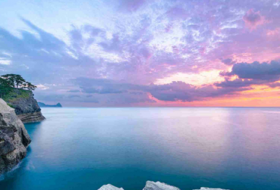 ​文员实习报告