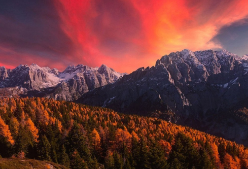 1689099450927820.png image.png