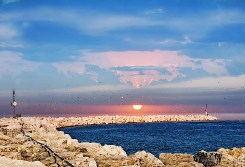 1689099616796878.png image.png