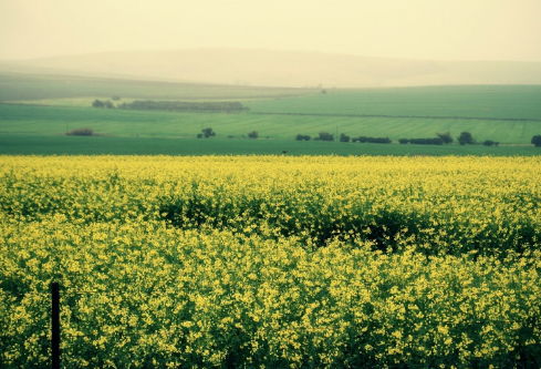 1689101123411939.png image.png