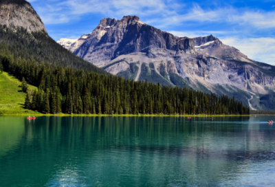 ​火电厂实习报告