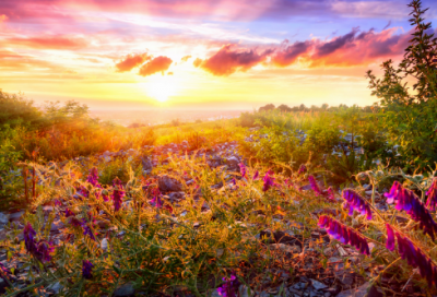 ​新农村建设调查报告