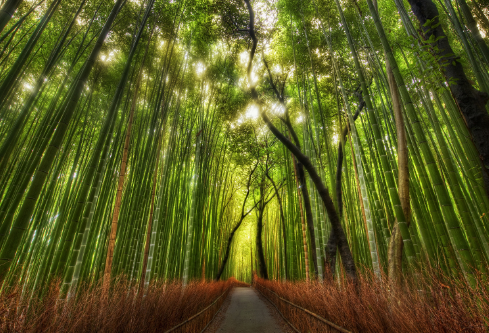 1689103780607152.png image.png