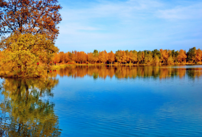 ​公司实习报告