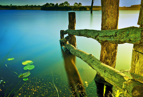 1689104445657943.png image.png