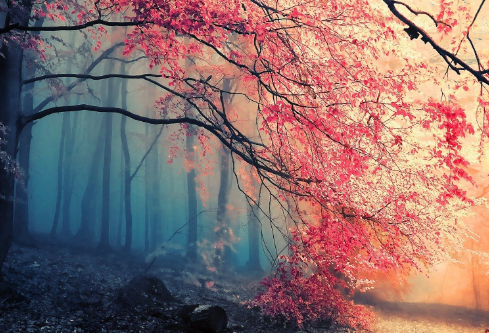 1689104611799355.png image.png