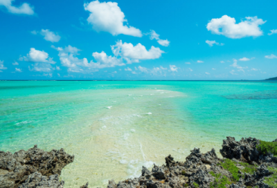 ​社会实践总结报告