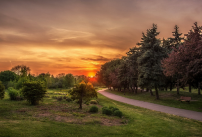 ​认知实习报告