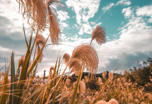 1689105939491868.png image.png