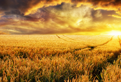 1689106271240126.png image.png