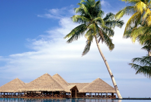 1689107100257343.png image.png