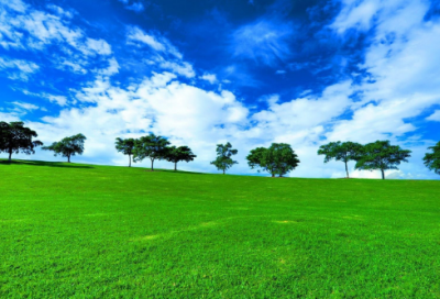 ​服装市场调研报告