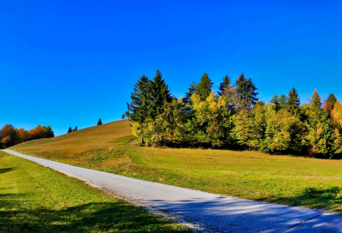 1689108760514987.png image.png