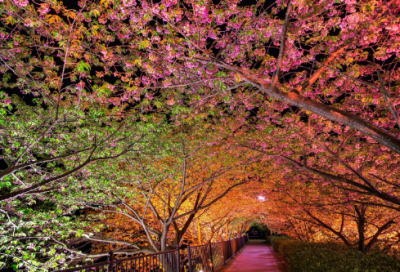 ​房地产销售实习报告