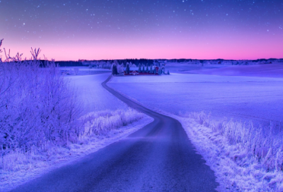 ​农村调研报告