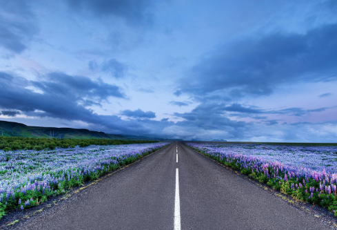 1689109424527128.png image.png