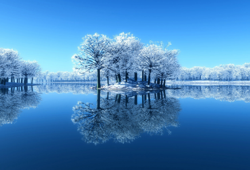 1689109756333391.png image.png