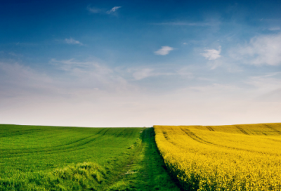 ​工厂实习报告