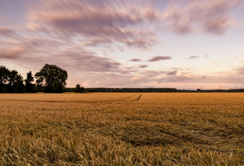 1689110088229363.png image.png