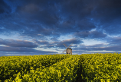 ​大学假期,我终于学会了“编”社会实践报告