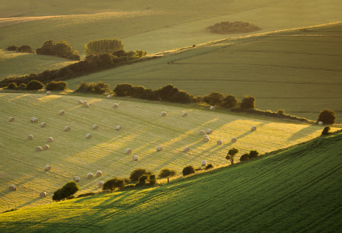 1689111416584366.png image.png