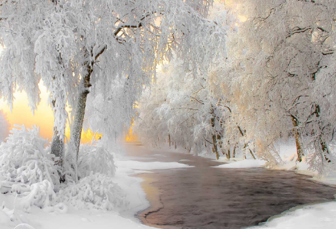 1689112080261465.png image.png