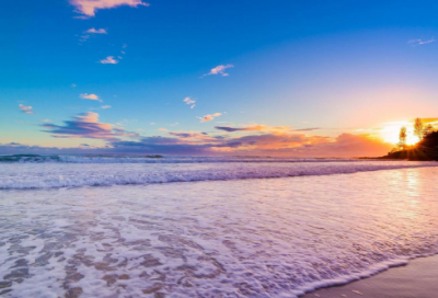 ​德育主任述职报告