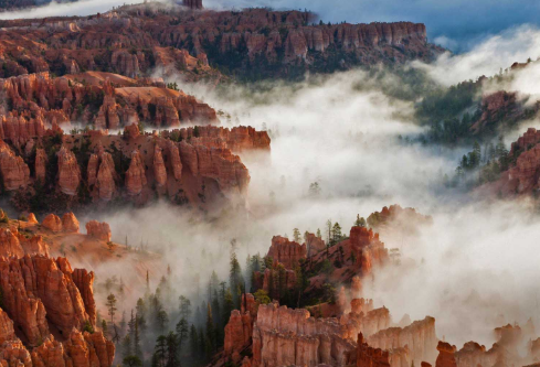 1689112578104652.png image.png