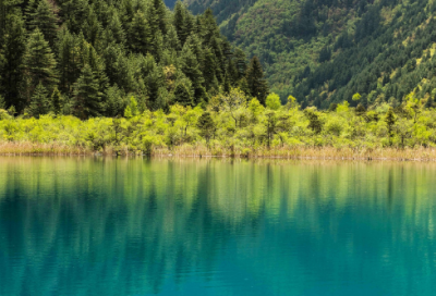 ​物流管理实习报告