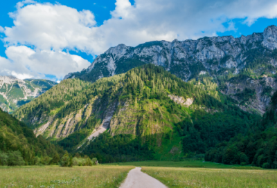 ​实习总结报告