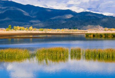 ​大学生社会实践报告