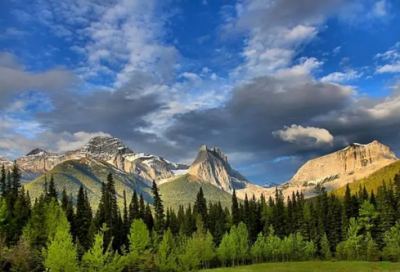 ​关于环保的调查报告