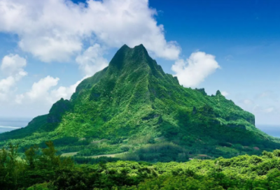 ​设计院实习报告