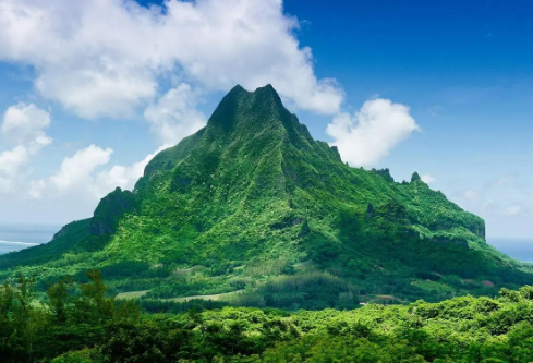 1689115067933057.png image.png