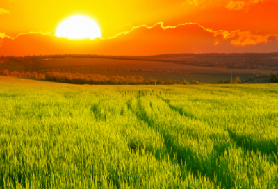 ​工商管理实习报告